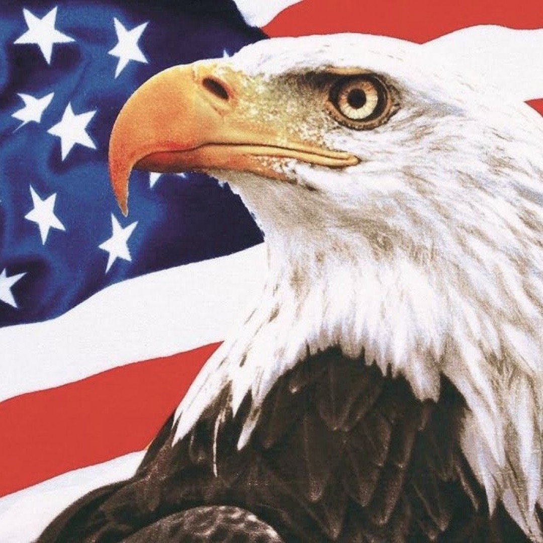 Americké prezidentské volby